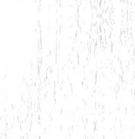 In The Beginning Fabrics - Texture Graphix - Cool Gray - Birch - 4TG3