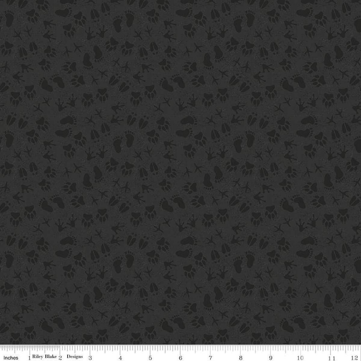 Legends of The National Parks Prints Charcoal