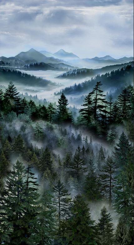 Misty Mountain CD3527 Mountain 24 Inch Panel Timeless Treasures