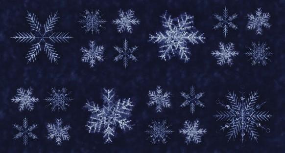 Moda - Shimo Sunforeko Neibi - 48050 11