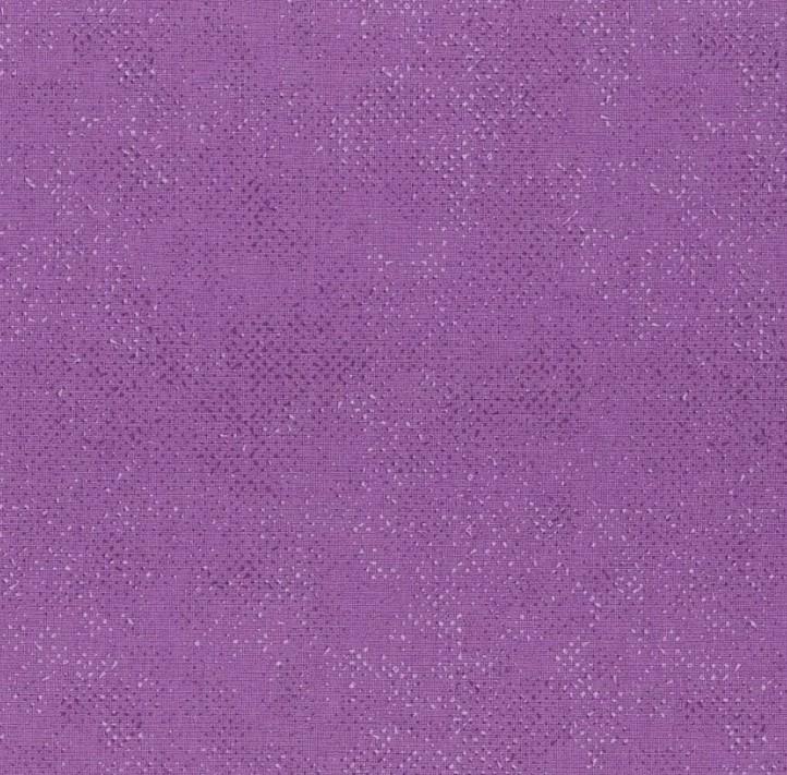 Moda - Spotted - Purple - 166031