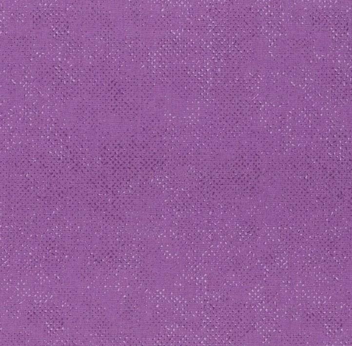 Moda - Spotted - Purple - 166031