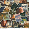 National Parks Postcard Toss Multi - Riley Blake