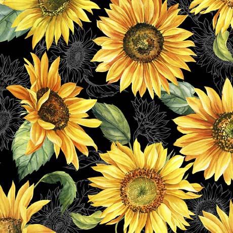 QT Fabrics This & That X Sunflowers in Black