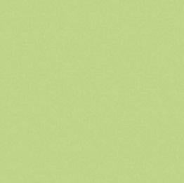 Riley Blake - Confetti - Sweet Pea - 120-SWEETPEA