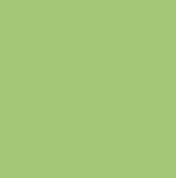 Riley Blake - Confetti Cottons - Spring Green - C120-SPRINGGREEN