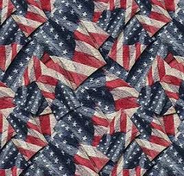 Riley Blake - Flags Multi - Coming Home - CD14424-MULTI