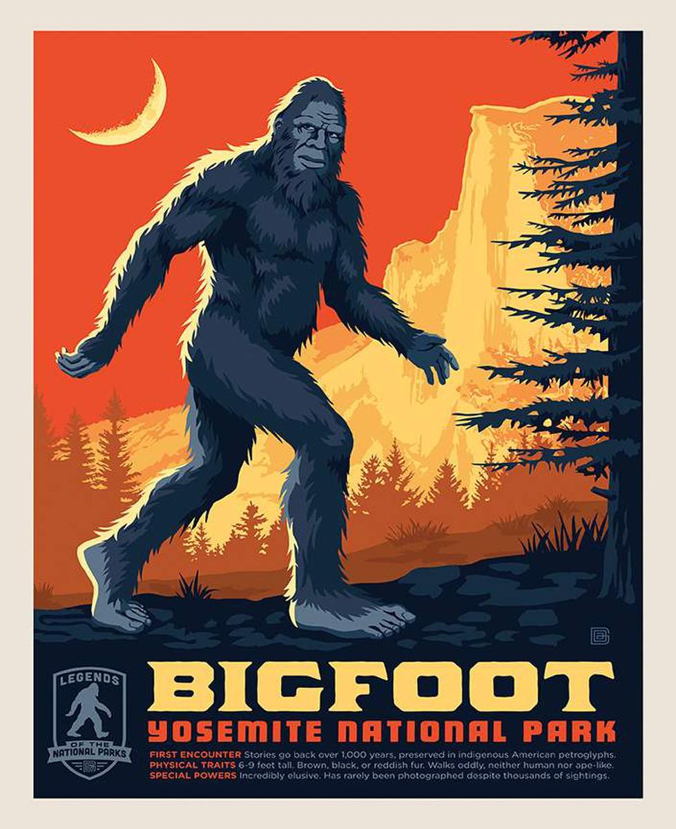 Big Foot Panel