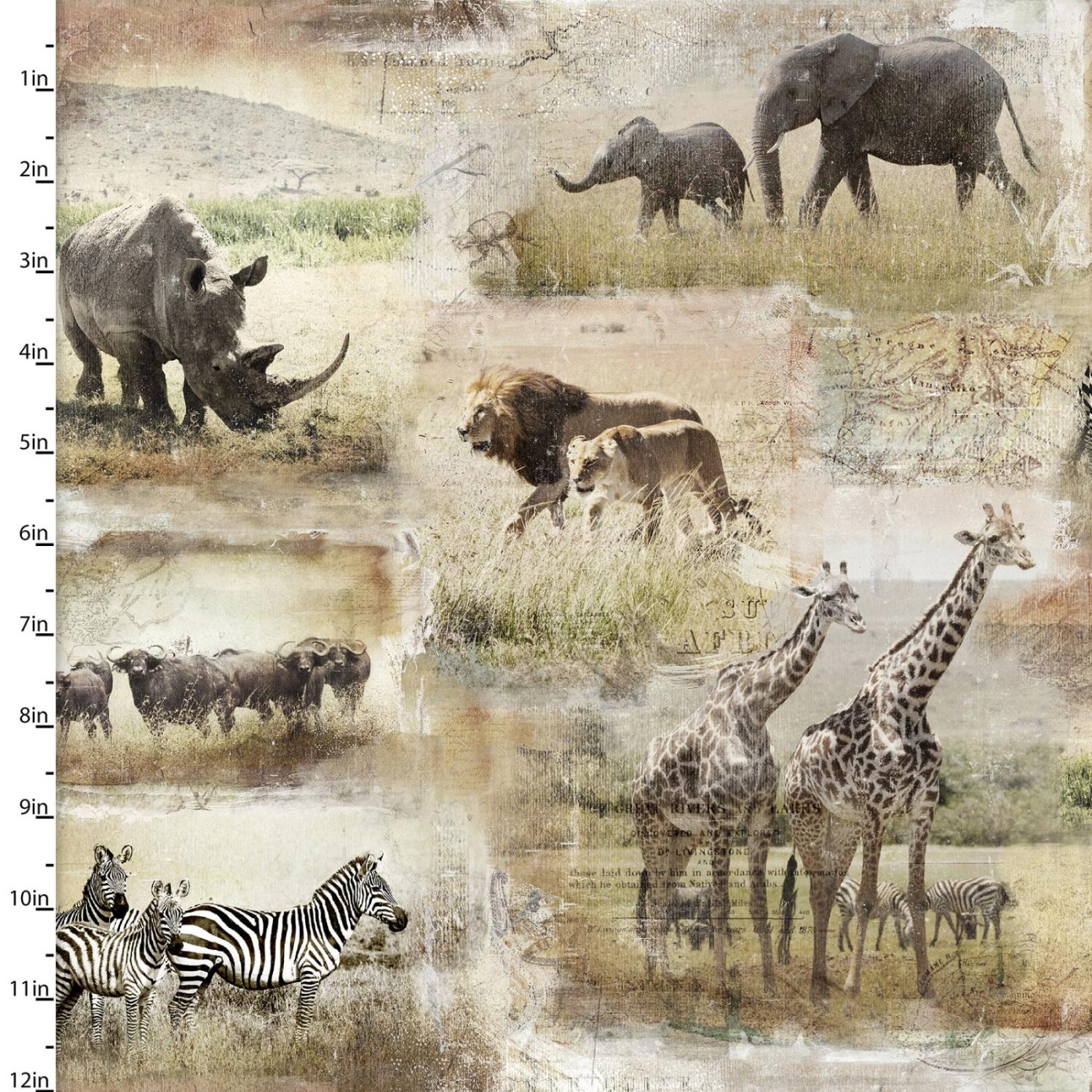 3 Wishes - Global Luxe Collection - Global Animals - 18007-MLT-CTN-D