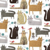 Its Raining Cats - Cats at Play - White