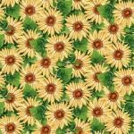 Michael Miller - Honey Bees Feast