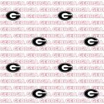 NCAA- Georgia White Block Letters