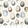 Northcott - Feathered Nest - Feathered Nest - Eggs - Cream - Multi