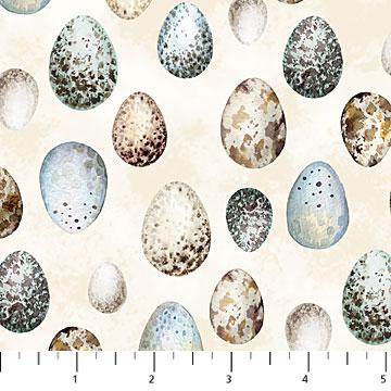 Northcott - Feathered Nest - Feathered Nest - Eggs - Cream - Multi