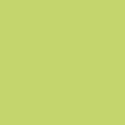 Northcott ColorWorks Premium Solid - Artichoke - 9000-742