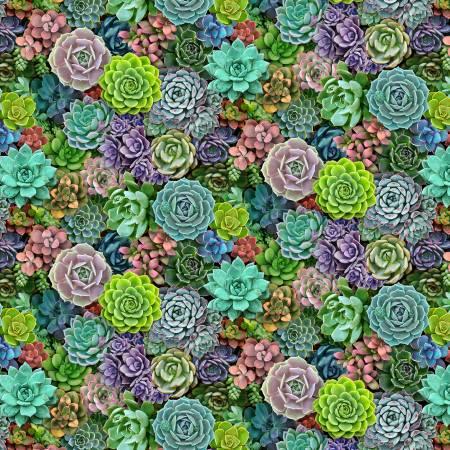 Succulent Charm Collection - Mult Succulents - 599E-MLT