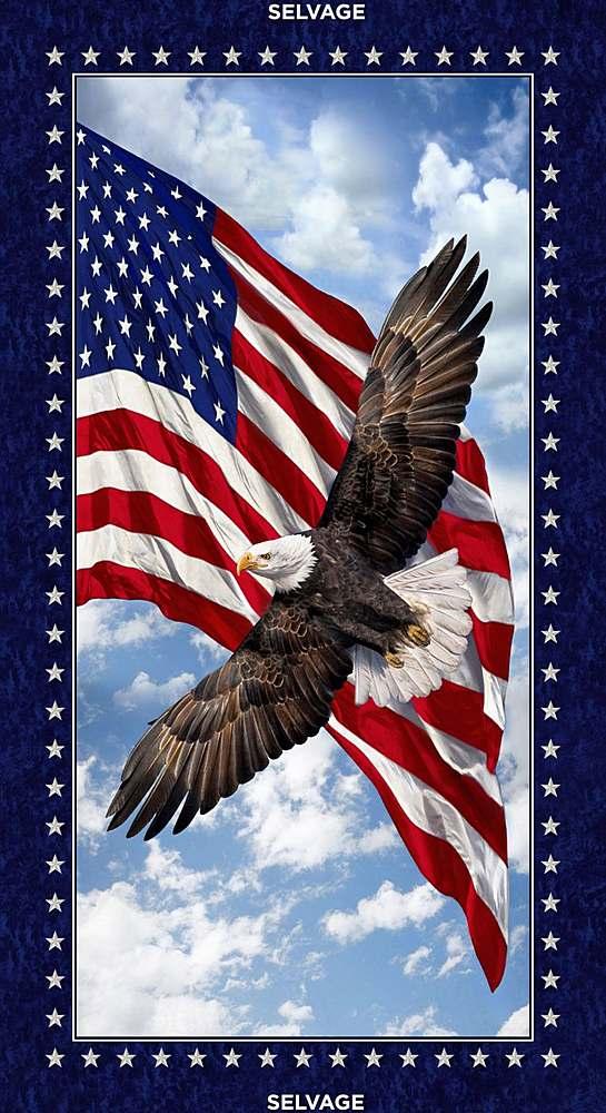 Timeless Treasures - 24" Panel - Patriotic Eagle - Multi - C7448