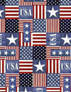 Timeless Treasures - Stars and Stripes Blocks - USA-C1338