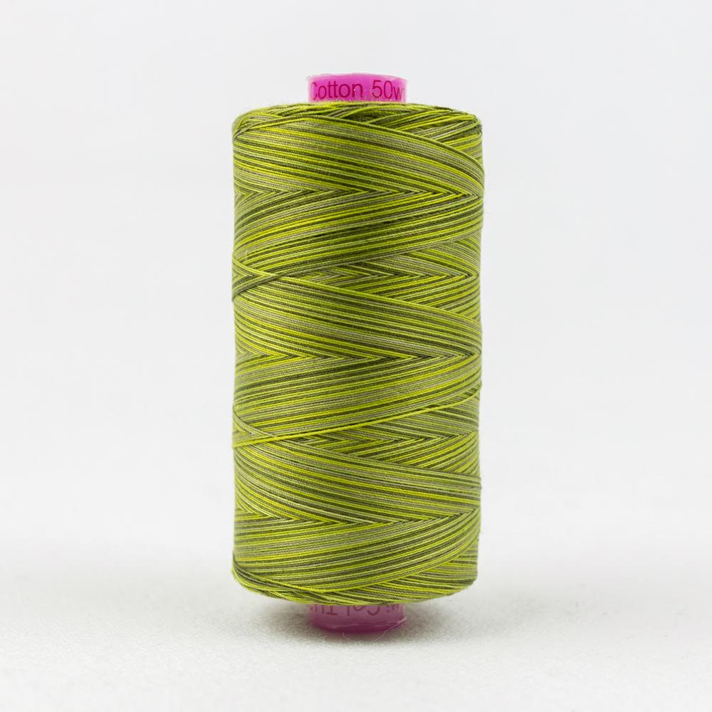 Wonderfil - Tutti - Moss